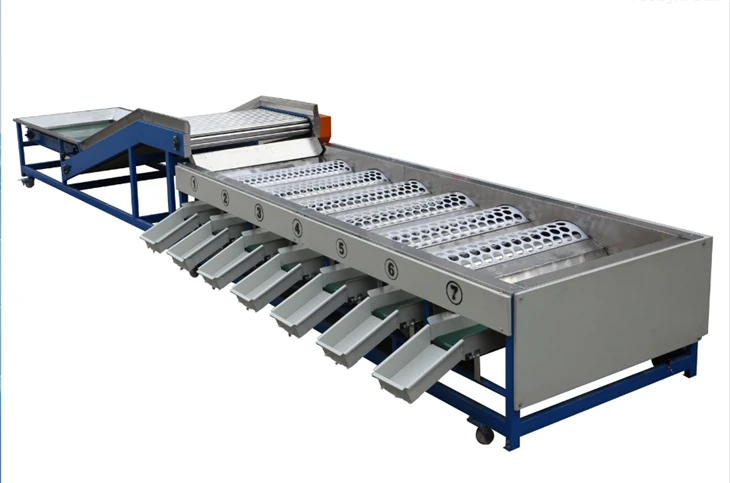 Vegetable and fruit sorting machine (1) Vegetable and fruit sorting machine (1)